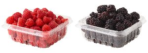 $0.98 Blackberries or Raspberries, 6 oz