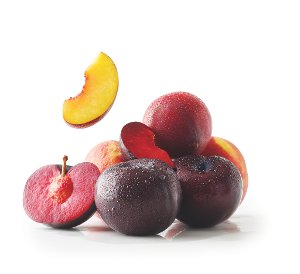 1 49 lb peaches or plums Kroger Coupon on WeeklyAds2.com