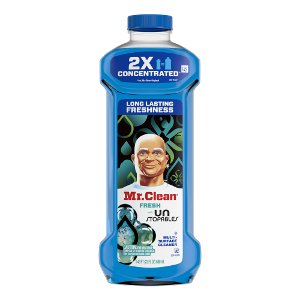 save 1 00 on mr clean multi surface cleaner Harris-teeter Coupon