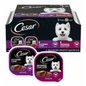 save 3 00 on cesar wet dog food Food-4-less Coupon