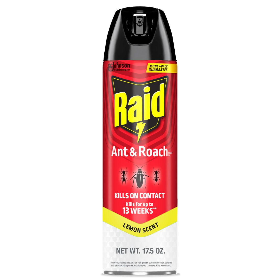 Raid Ant & Roach Killer, Indoor Insecticide, Residual Killing